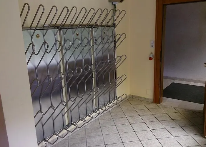 Hochleitner 바그라인