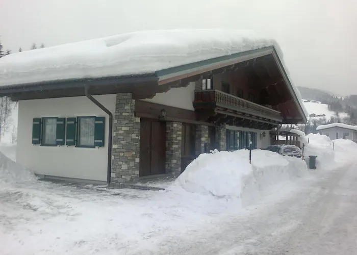 Hochleitner 바그라인